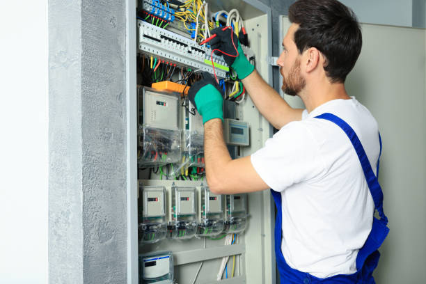 Best Electric Panel Repair  in Minier, IL